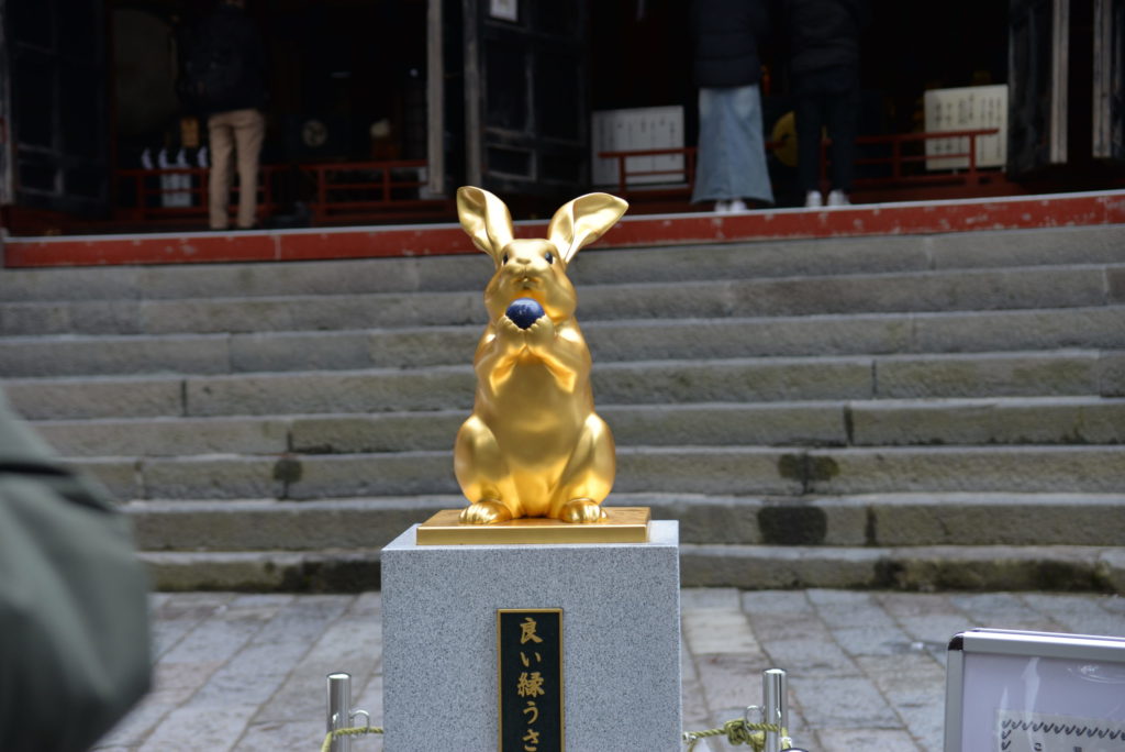 【乗車記】スペイシアXで冬の日光へ。予約ミスから始まった、忘れられない景色と出会う旅