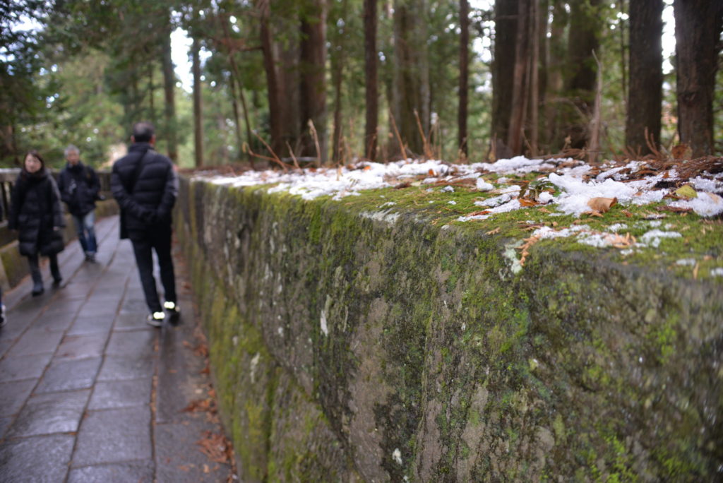 【乗車記】スペイシアXで冬の日光へ。予約ミスから始まった、忘れられない景色と出会う旅