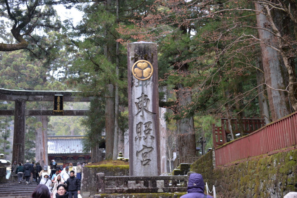 【乗車記】スペイシアXで冬の日光へ。予約ミスから始まった、忘れられない景色と出会う旅