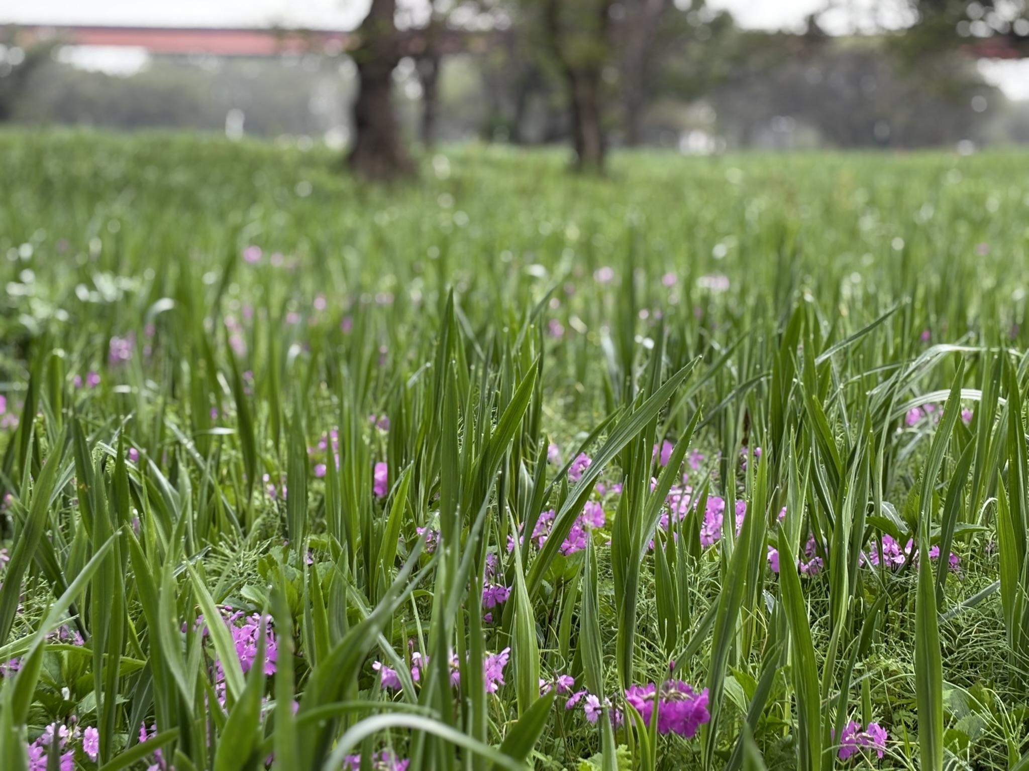 さいたま市「ぱせさぽ」