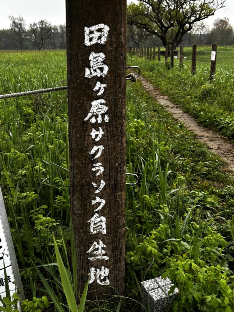 さいたま市「ぱせさぽ」