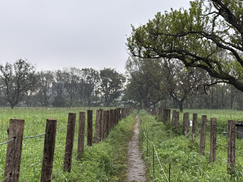 さいたま市「ぱせさぽ」
