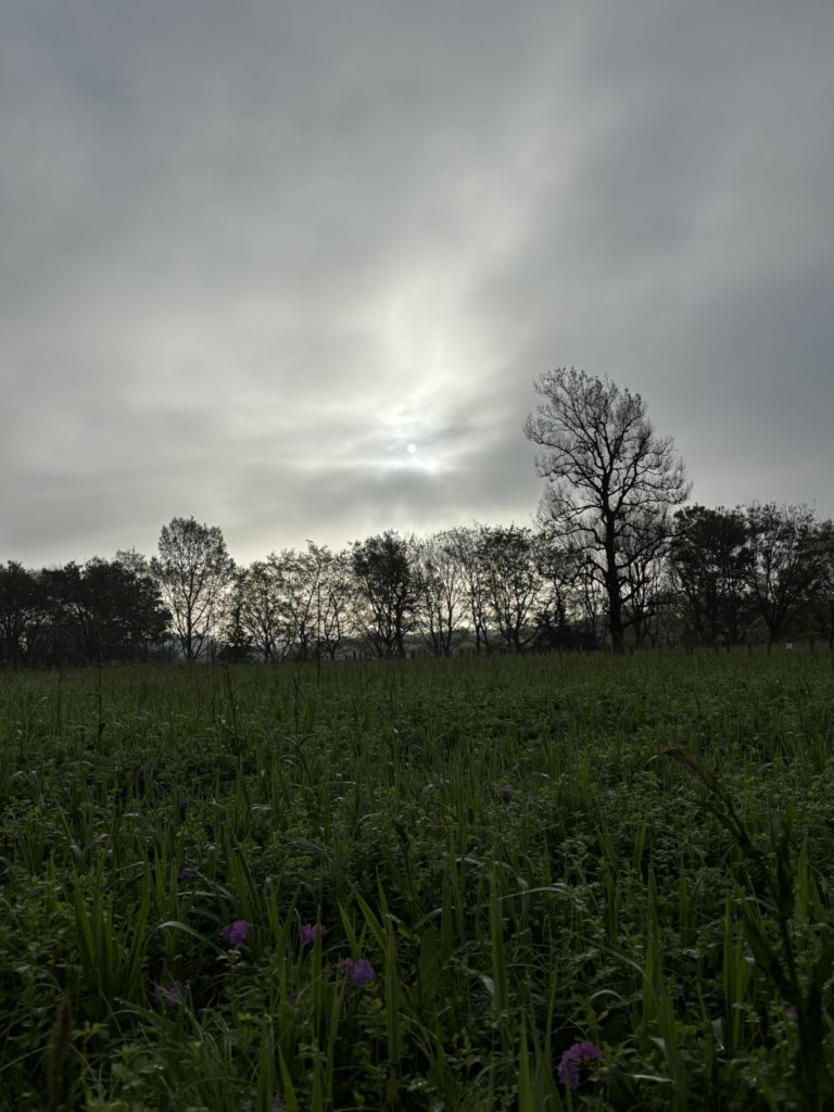 さいたま市「ぱせさぽ」