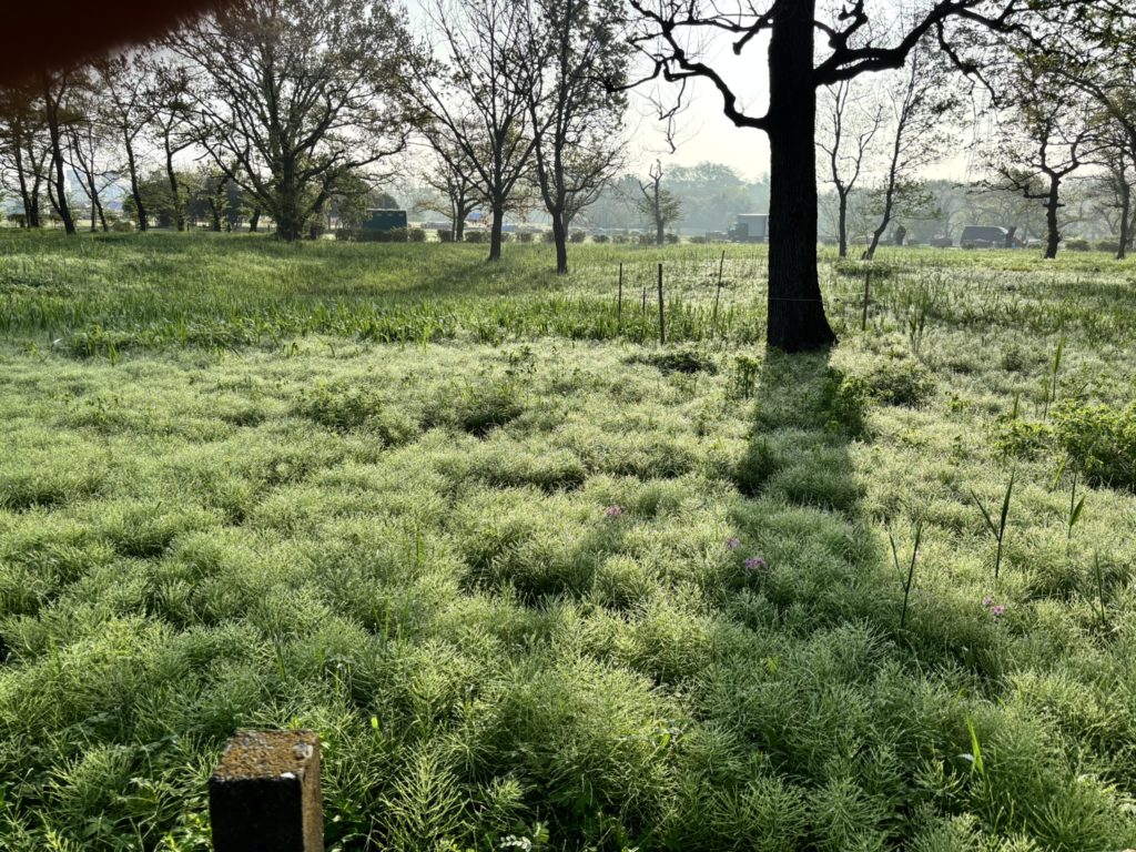 さいたま市「ぱせさぽ」